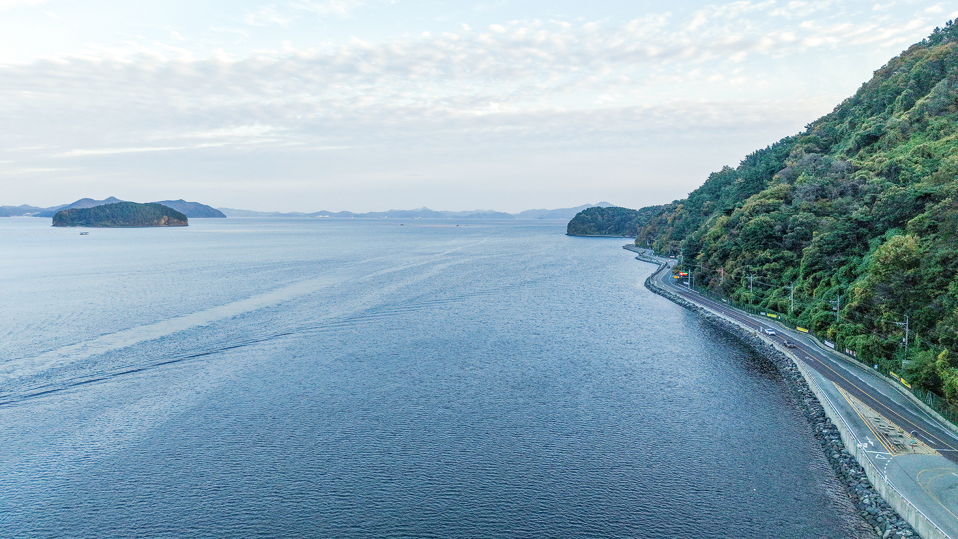 동진대교와 달뜨는 비오리